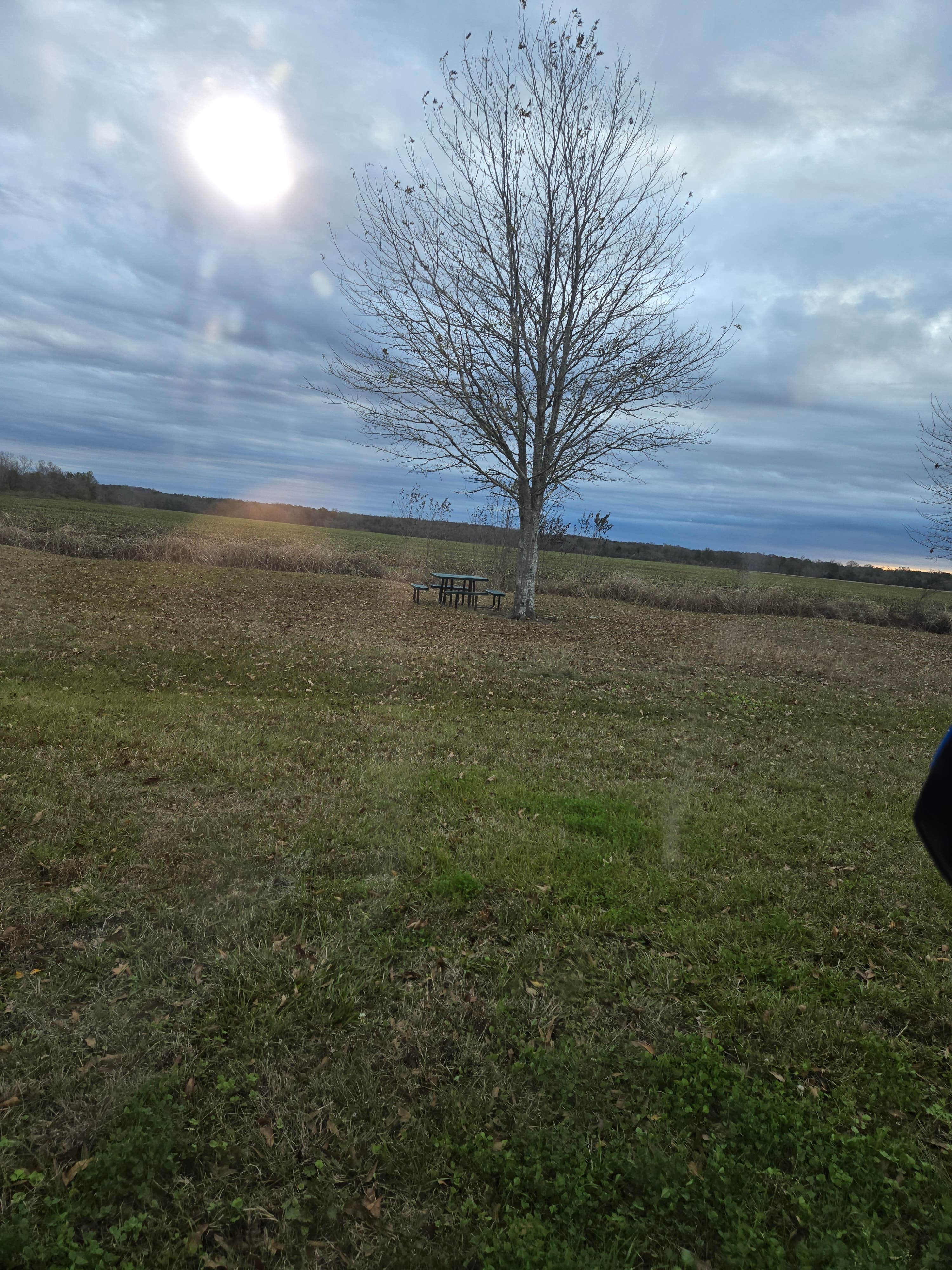 Camping near Lake Fausse Pointe State Park Campground: Attakapas Wildlife Management Area, Franklin, Louisiana