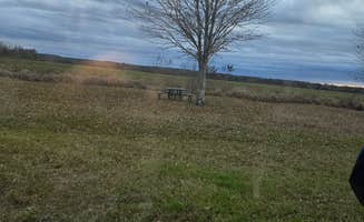 Michael E.'s photo of a dispersed camping area at Attakapas Wildlife Management Area in Louisiana