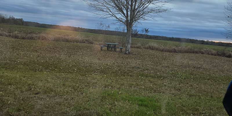 Camper submitted image from Attakapas Wildlife Management Area