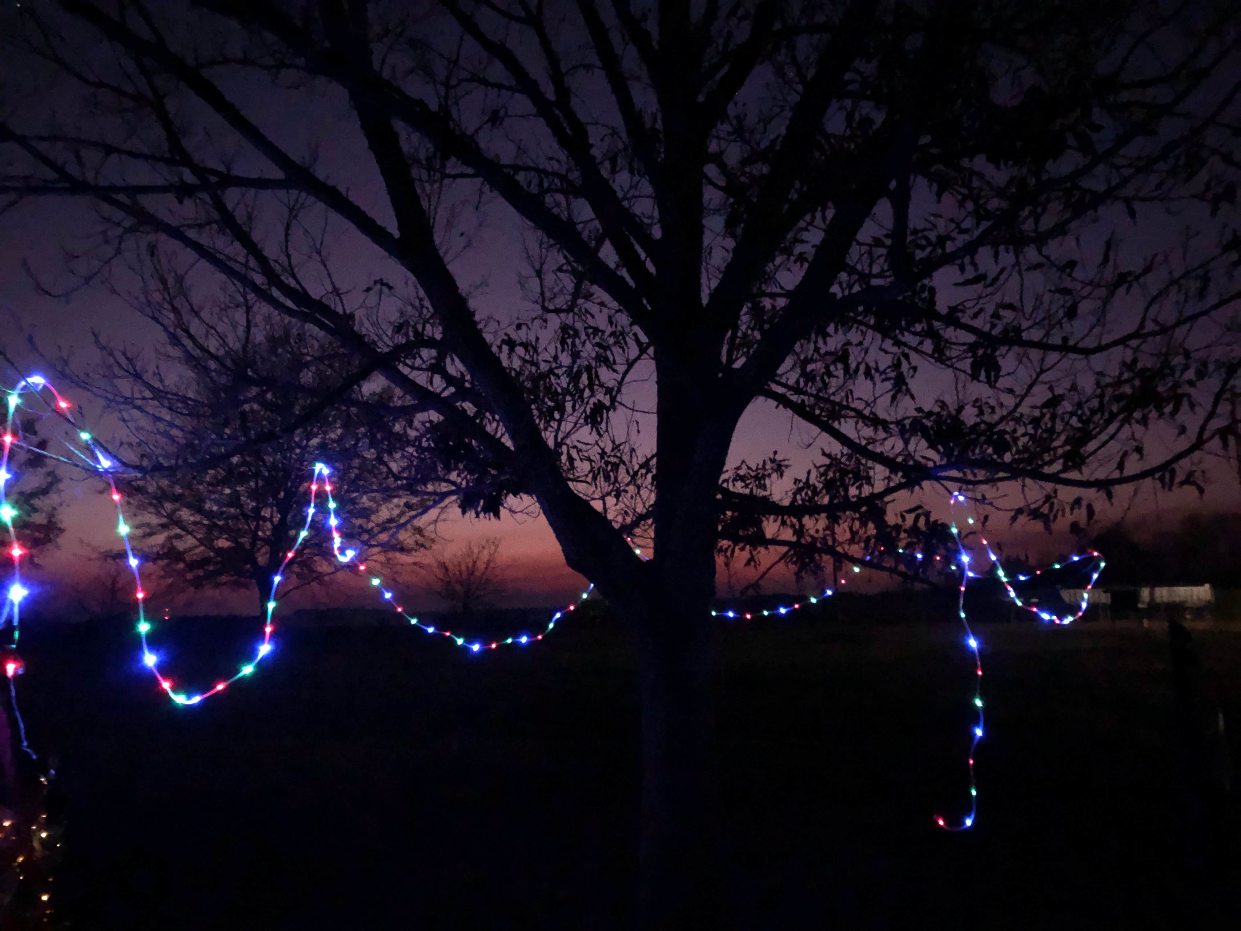 Camper-submitted photo at Attakapas Wildlife Management Area near Breaux Bridge, LA
