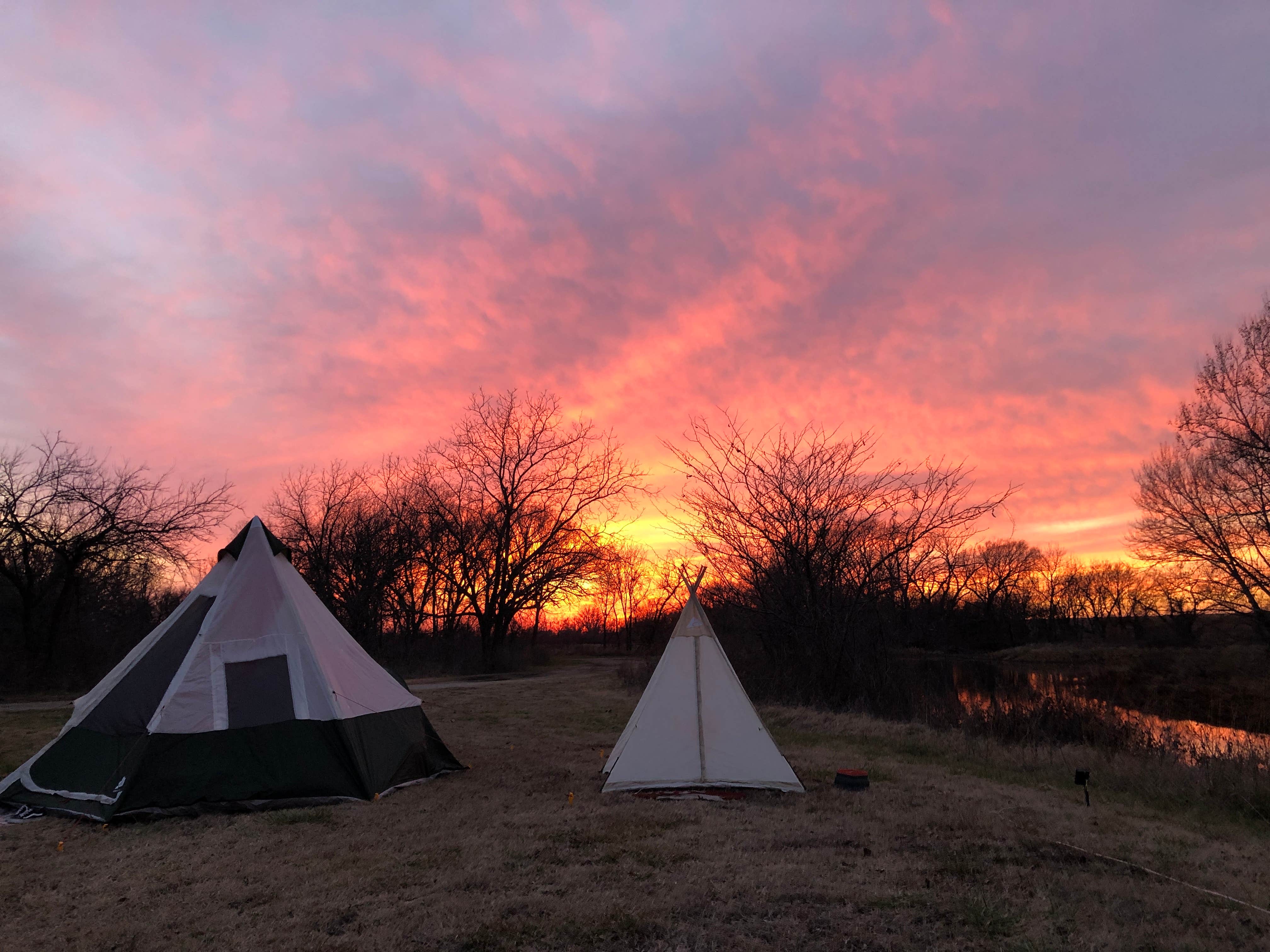crystal F.'s photo at Attakapas Wildlife Management Area near Houma, LA