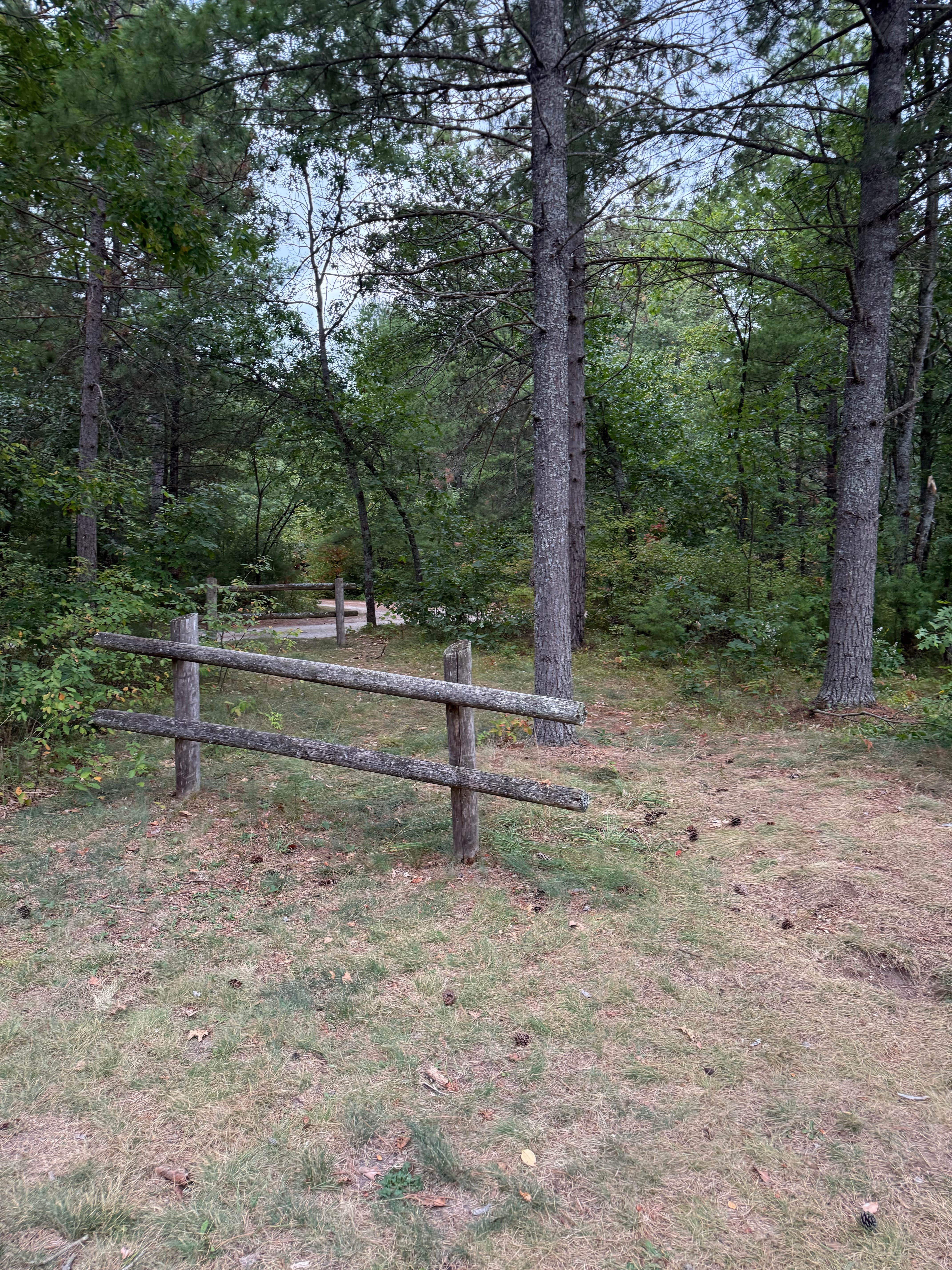 Camper submitted image from Au Sable Loop Campground — Huron Manistee National Forests - 3