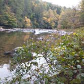 Review photo of Audra State Park Campground by Fred L., October 11, 2023