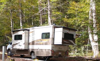 Fred L.'s photo of rv camping at Audra State Park Campground near Horner, WV