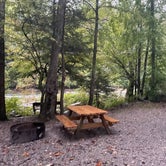 Review photo of Audra State Park Campground by Dyan F., September 28, 2023