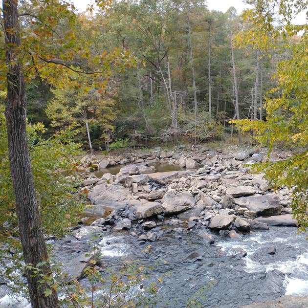 Audra State Park Campground | Buckhannon, WV