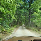 Review photo of Au Sable River Primitive Camping by Jonathan  B., August 31, 2025