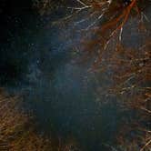 Review photo of Austin Campground by Ippei T., October 29, 2025