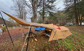Ippei T.'s photo at Austin Campground near Cross Fork, PA