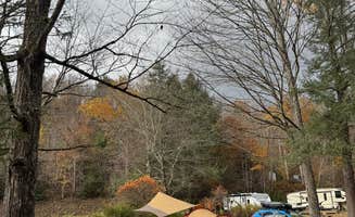 Ippei T.'s photo at Austin Campground near Cross Fork, PA