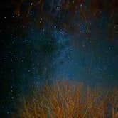 Review photo of Austin Campground by Ippei T., October 29, 2025