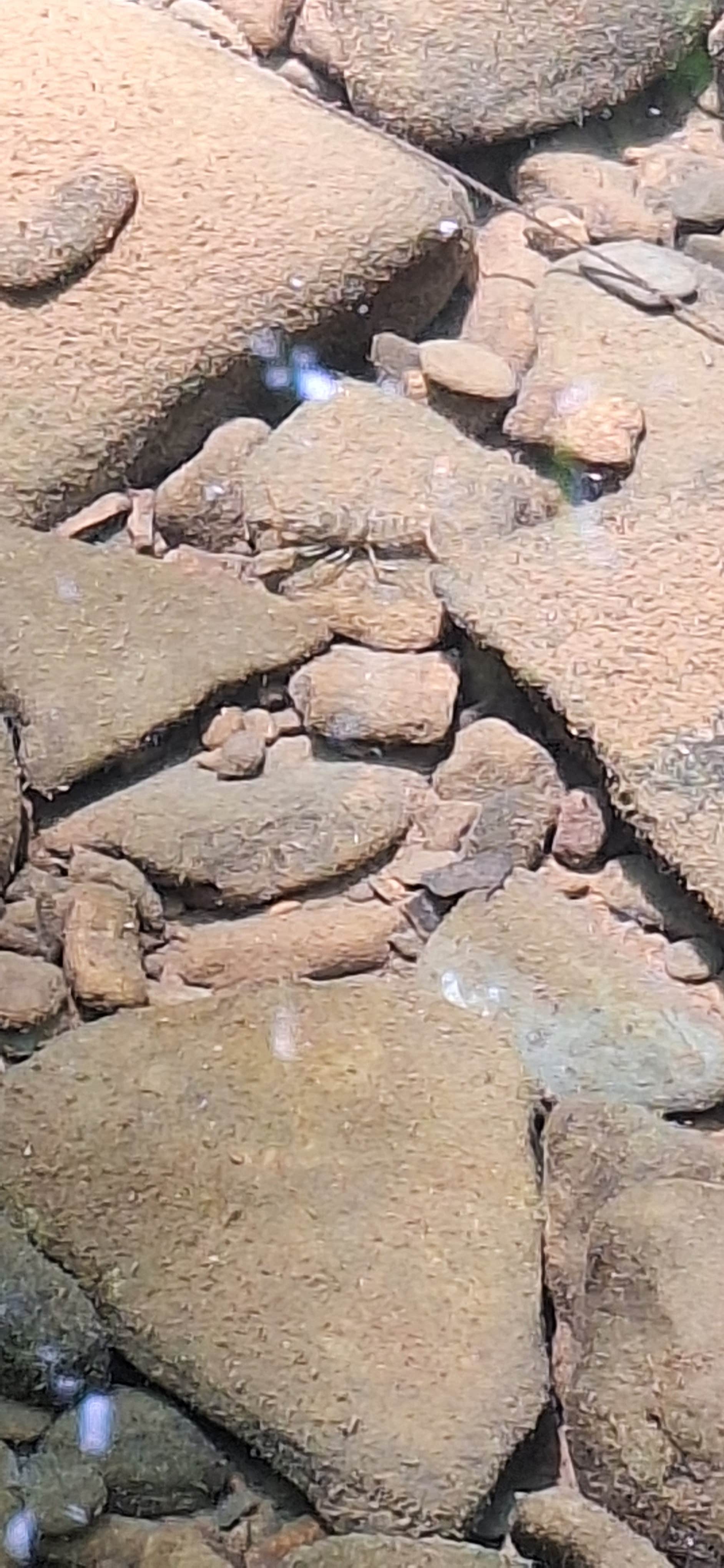 Camper-submitted photo at Austin Lake RV Park & Cabins near Weirton, WV