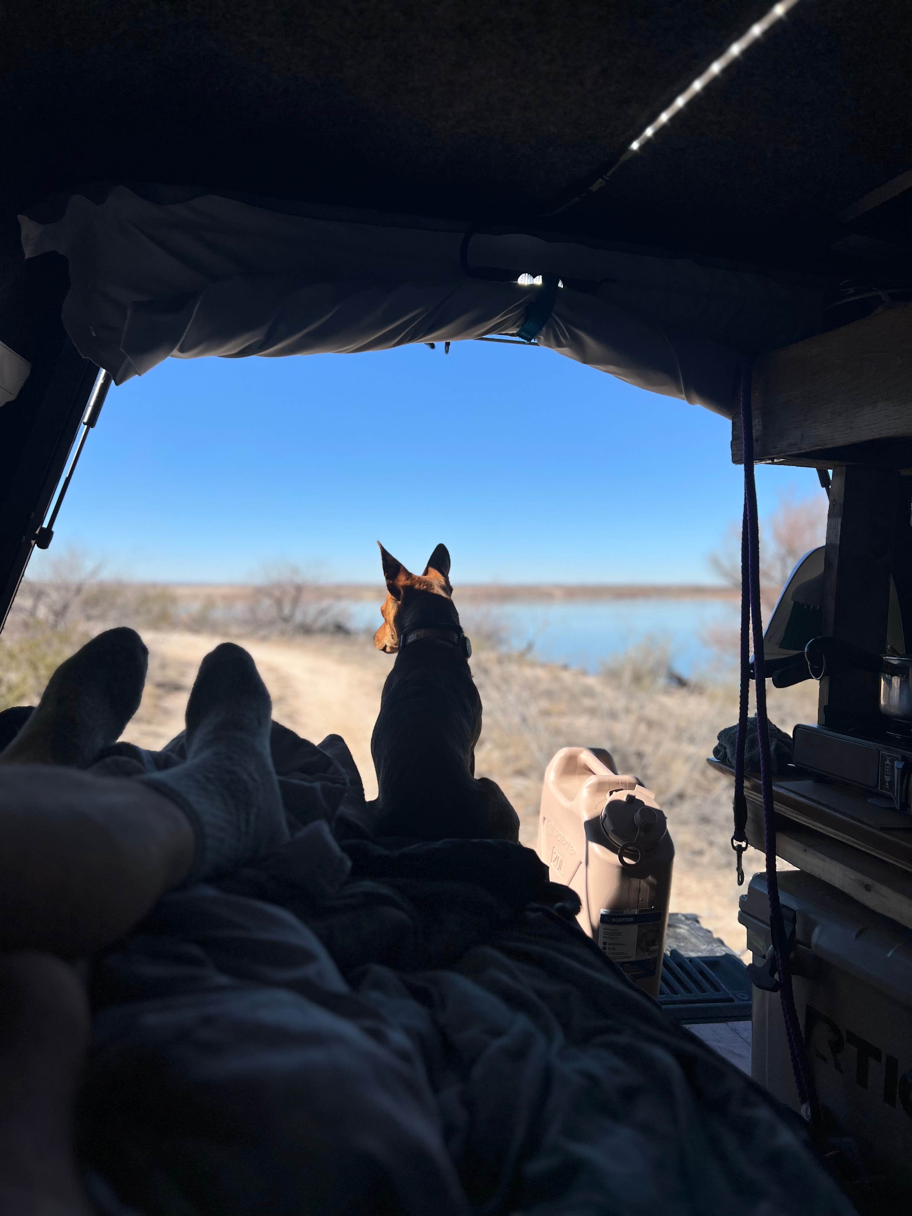 Robert F.'s photo of camping with pets at Avalon Lake Dispersed near Dexter, NM