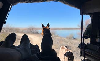 Robert F.'s photo of camping with pets at Avalon Lake Dispersed in New Mexico