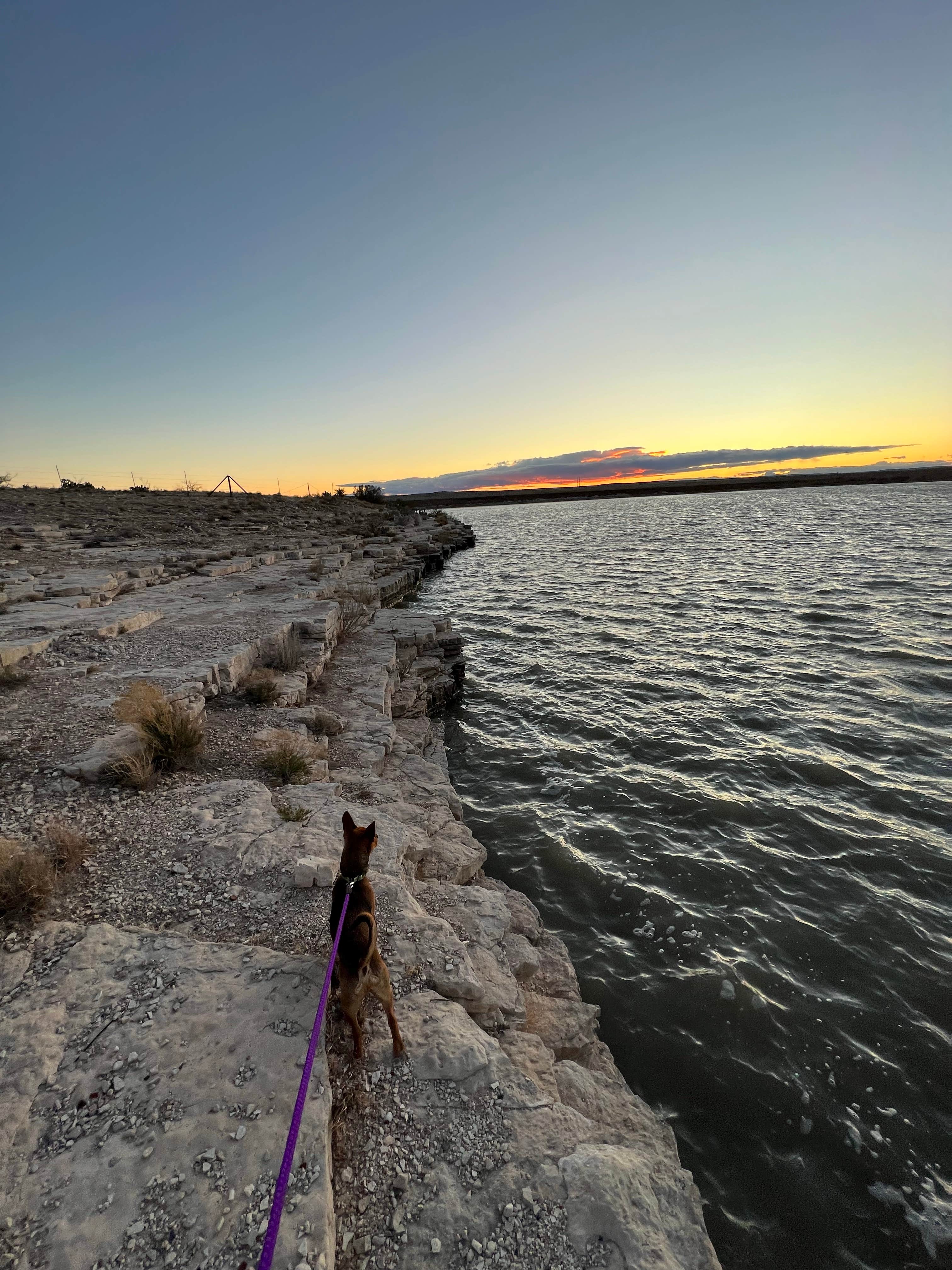 Camper submitted image from Avalon Lake Dispersed - 2