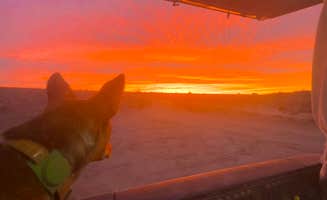 Robert F.'s photo of camping with pets at Avalon Lake Dispersed near Artesia, NM