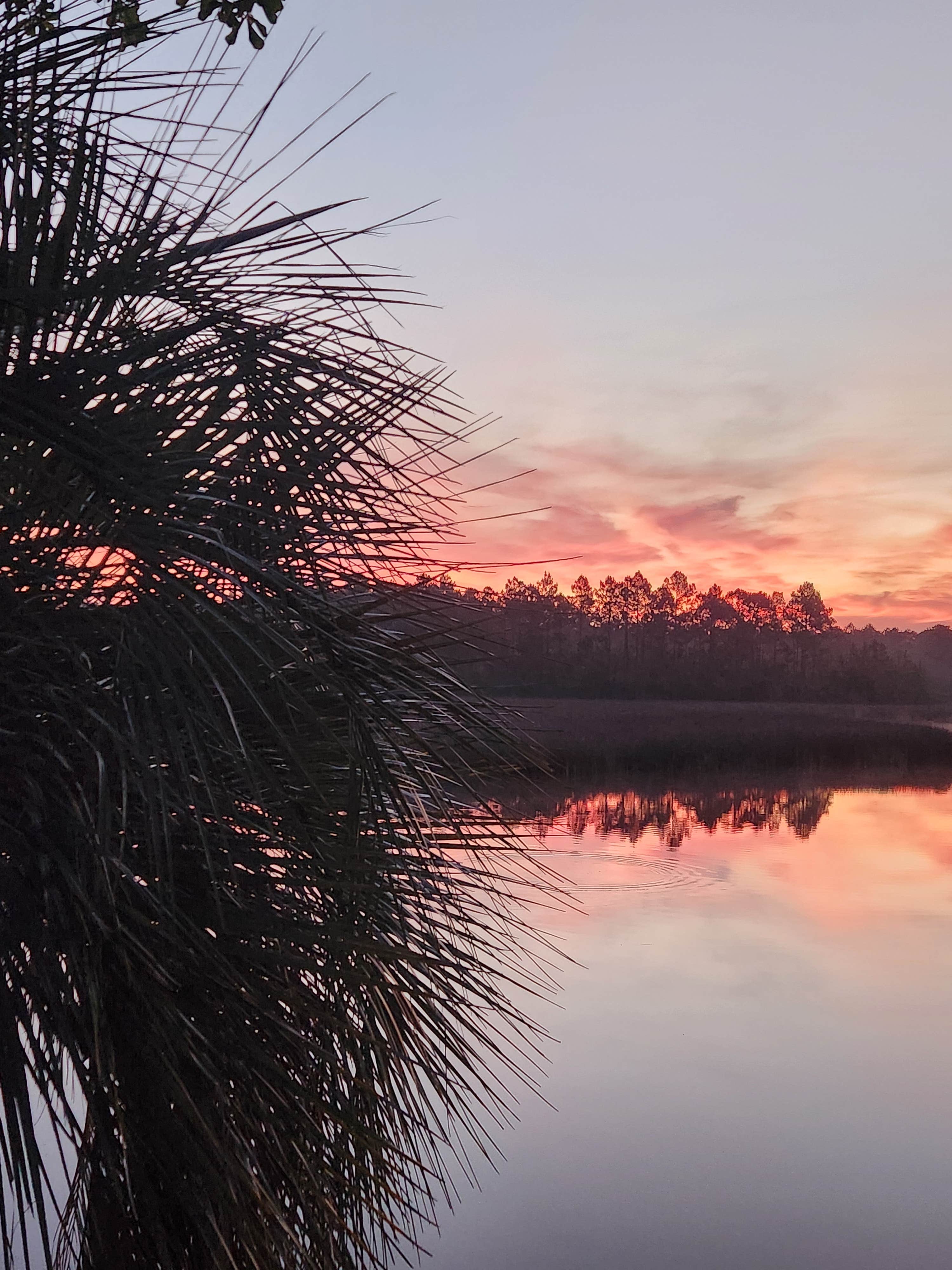 Camper-submitted photo at Avalon Landing RV Park near Navarre, FL