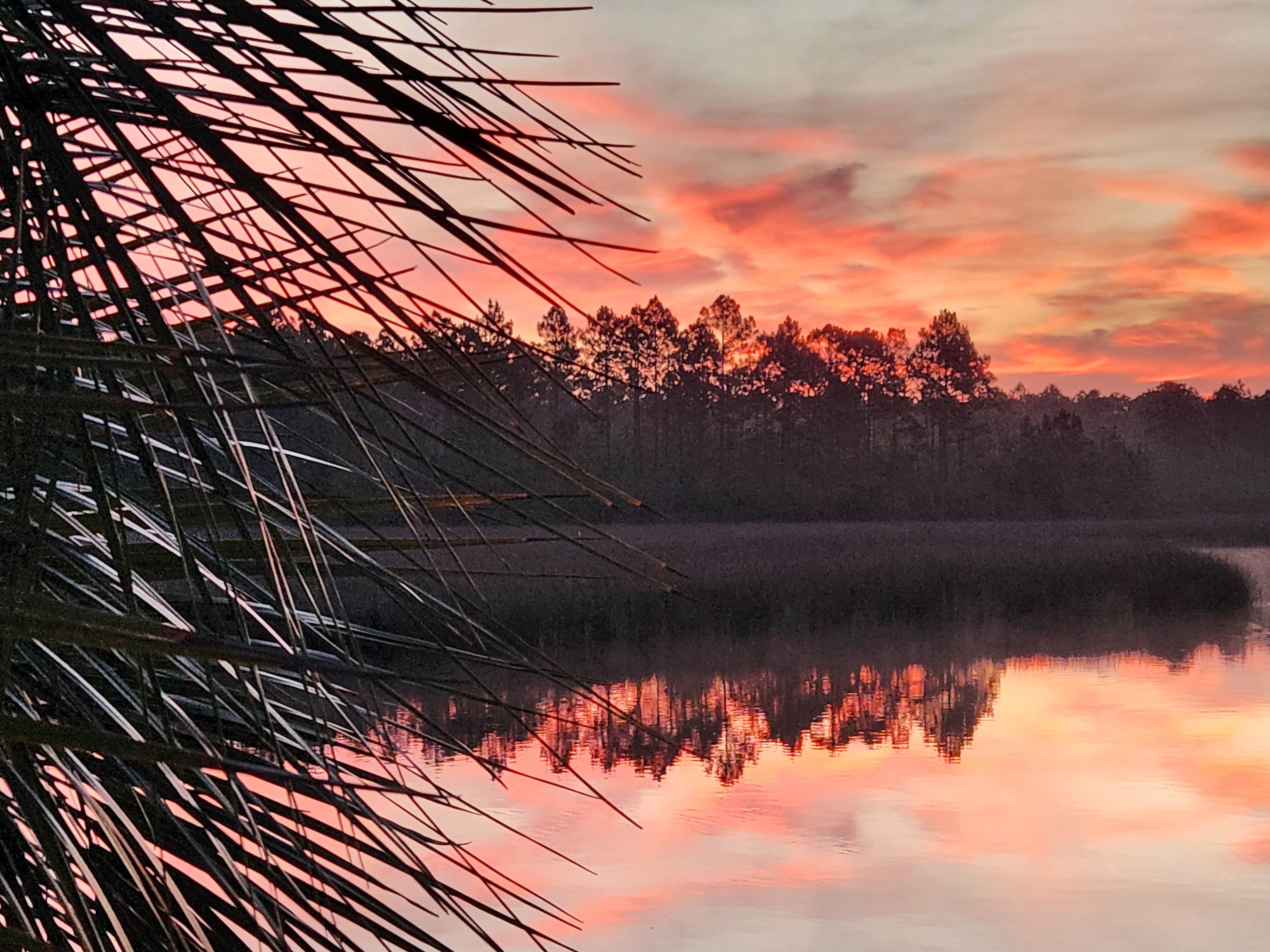Camper-submitted photo at Avalon Landing RV Park near Navarre, FL