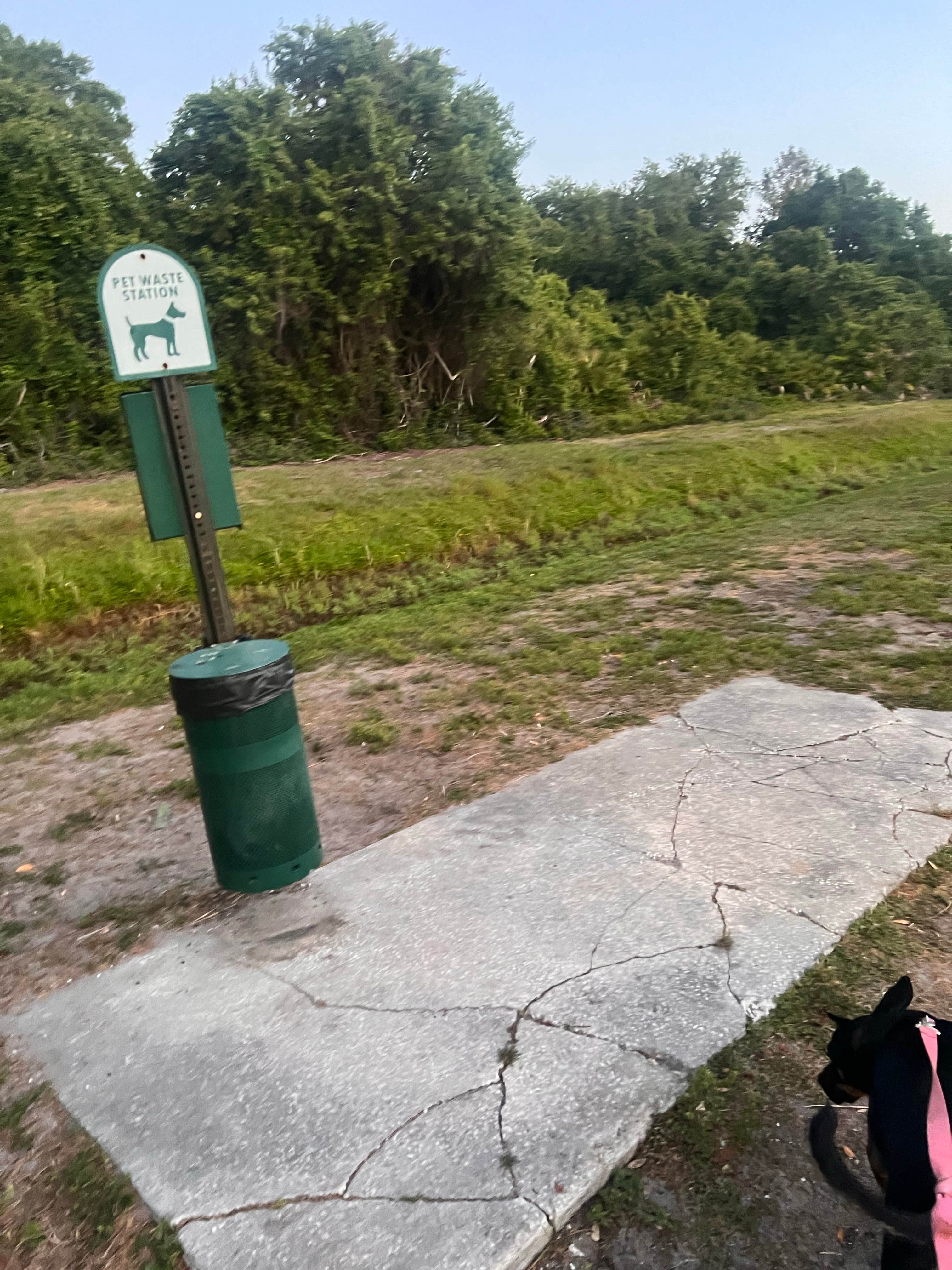 Camper-submitted photo at Avalon RV Resort near Seminole, FL