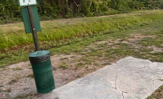 skylar T.'s photo of camping with pets at Avalon RV Resort near St. Petersburg, FL