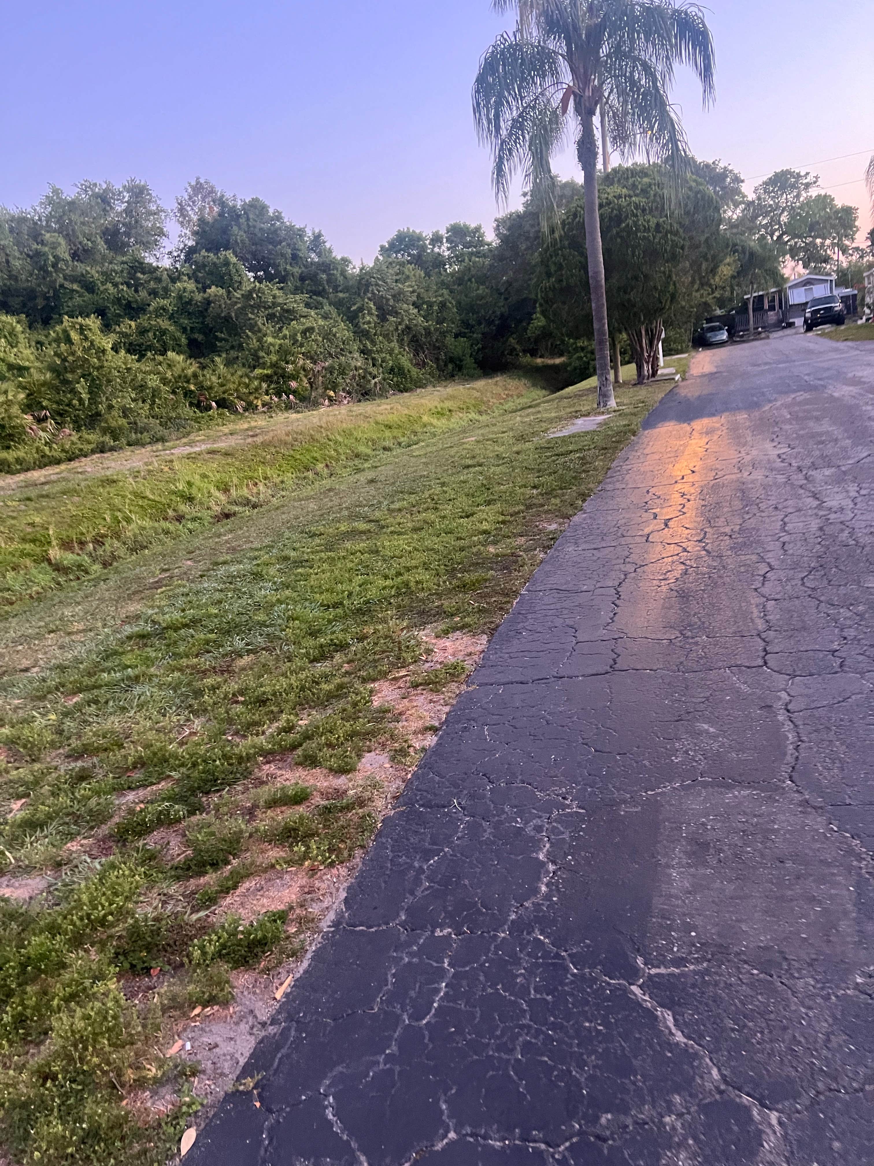 Camper-submitted photo at Avalon RV Resort near Seminole, FL