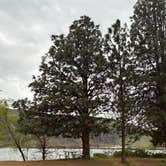 Review photo of Avery Rec Area- Columbia River Gorge by Phoenix T., April 15, 2026