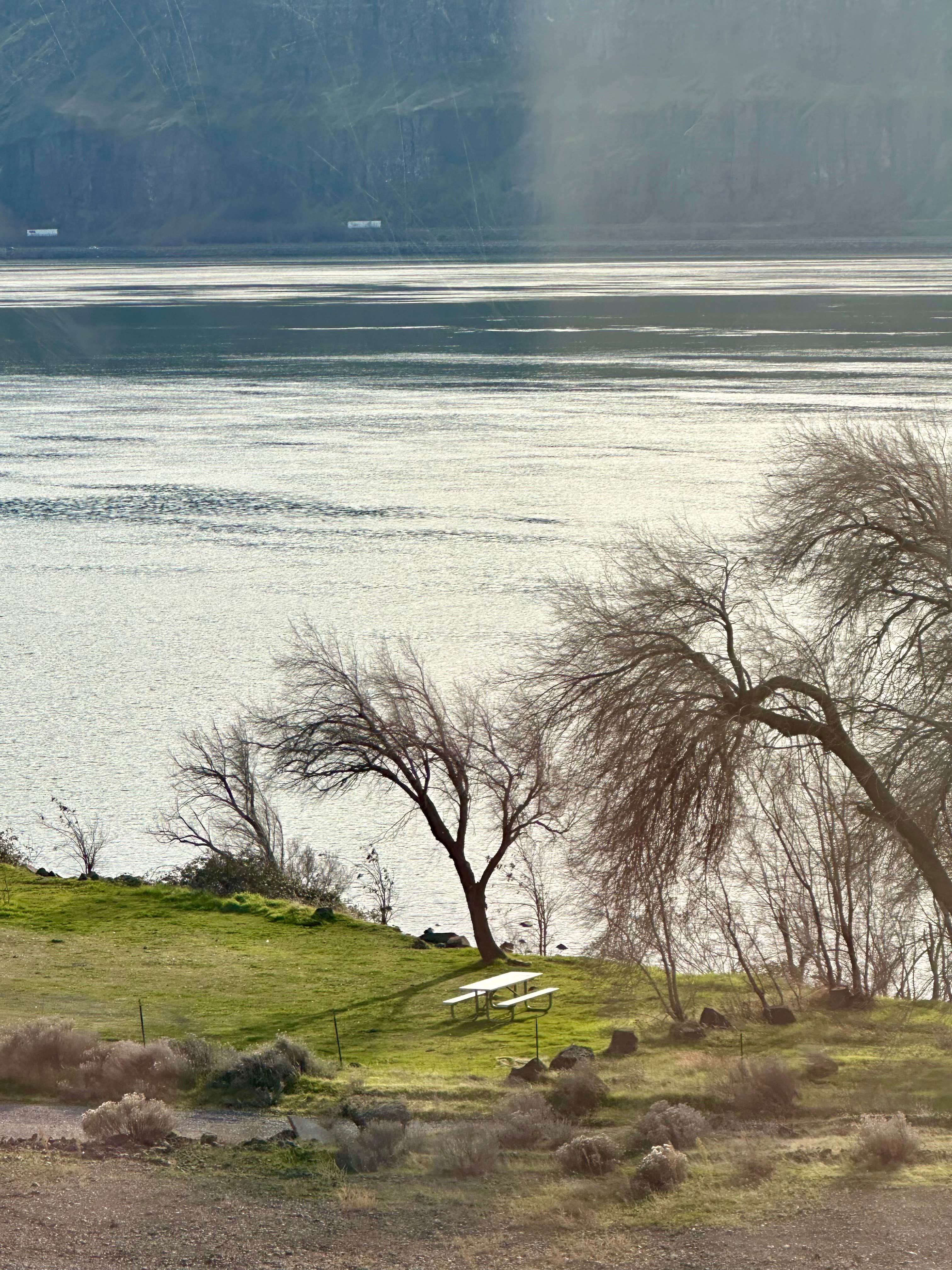 Jeff C.'s photo of a dispersed camping area at Avery Rec Area- Columbia River Gorge near Dallesport, WA