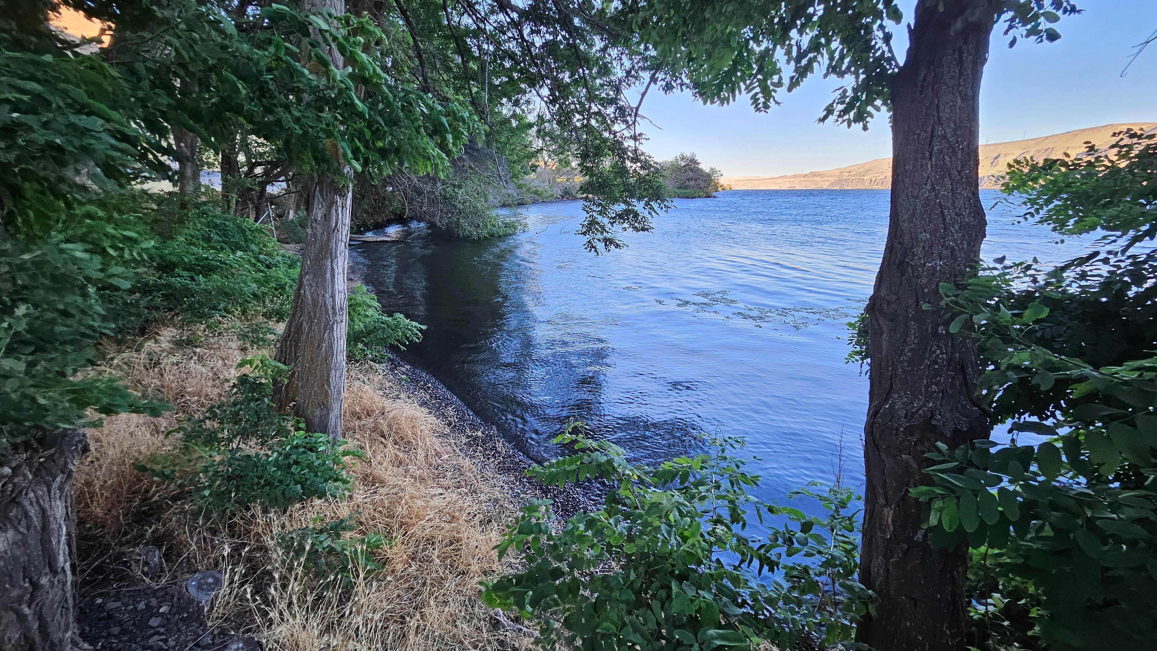 Kevin C.'s photo of a dispersed camping area at Avery Rec Area- Columbia River Gorge near Wishram, WA