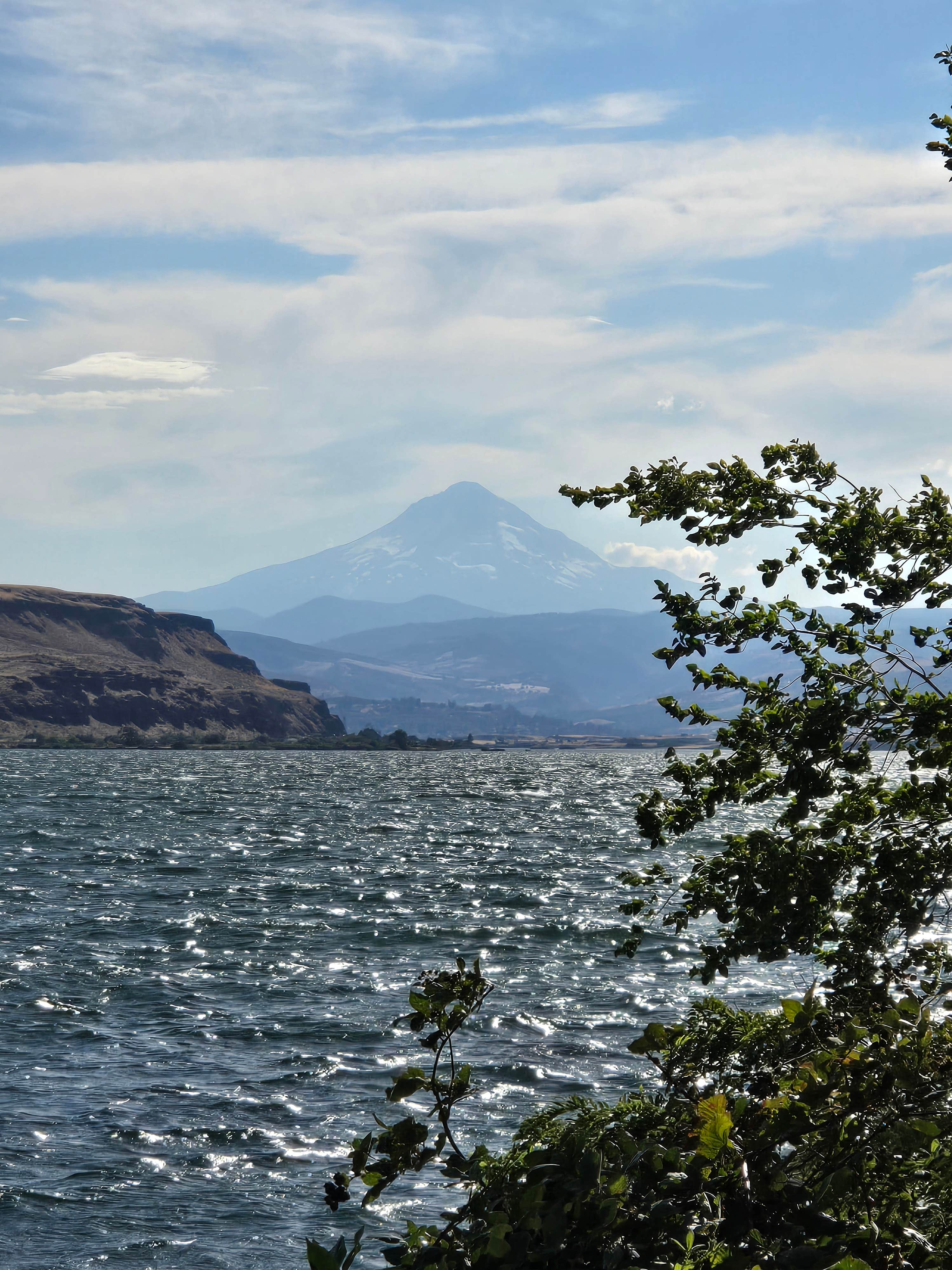 Steve M.'s photo of a dispersed camping area at Avery Rec Area- Columbia River Gorge near White Salmon, WA