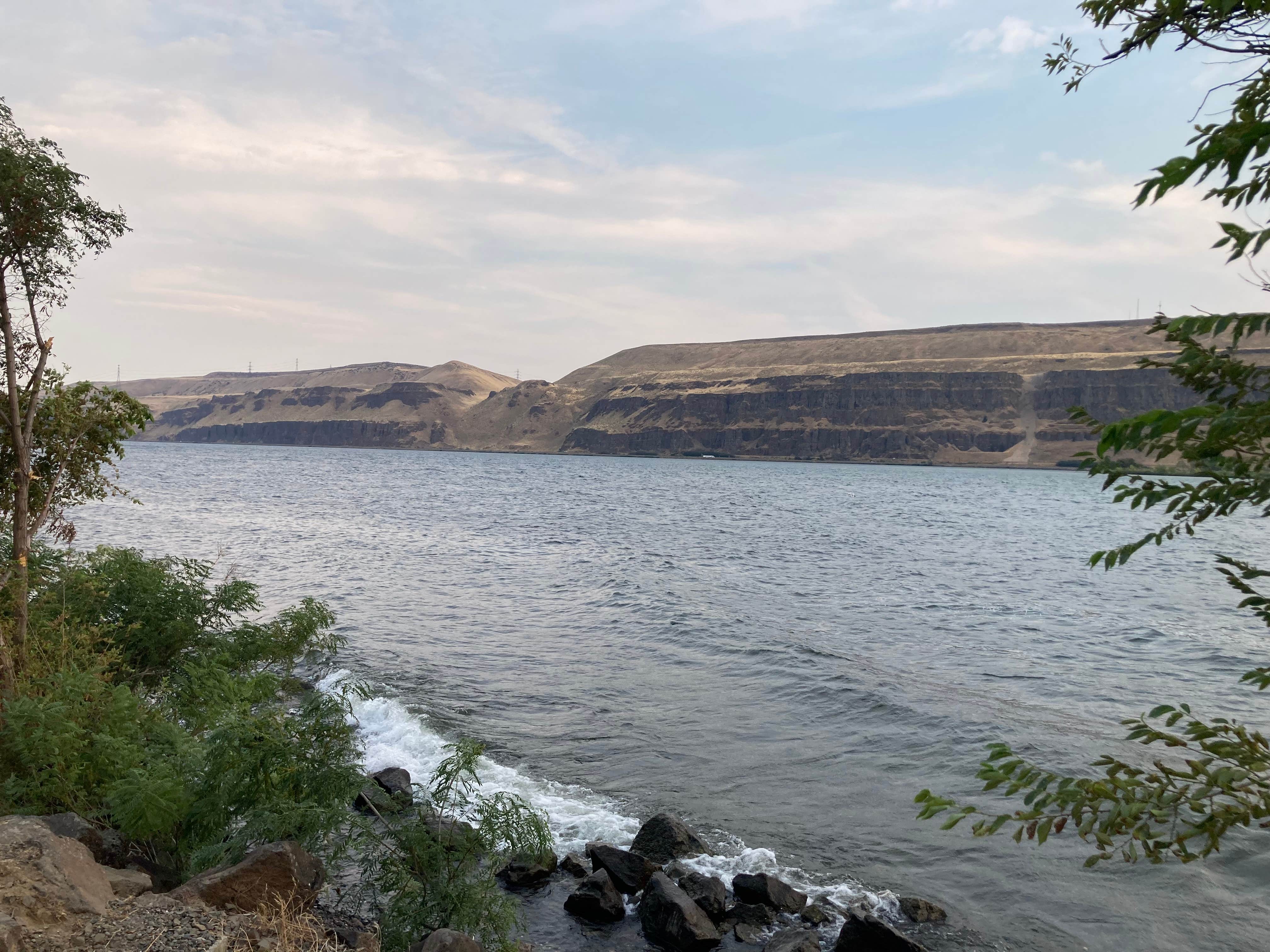 Al L.'s photo of a dispersed camping area at Avery Rec Area- Columbia River Gorge near Hood River, OR