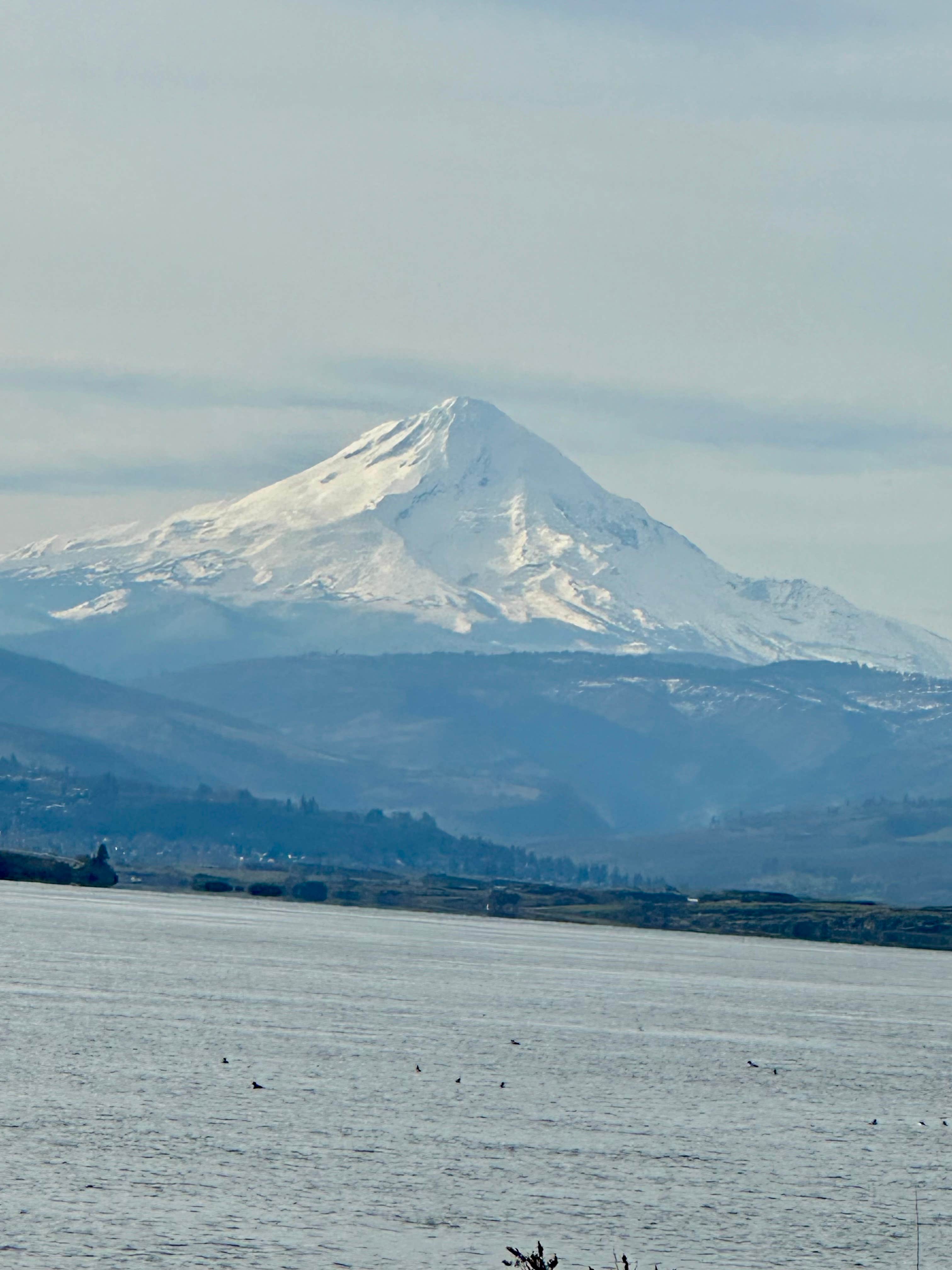 Camper-submitted photo at Avery Rec Area- Columbia River Gorge near Moro, OR