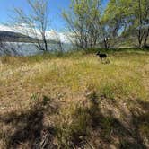 Review photo of Avery Recreation Area by Quincey H., May 7, 2026