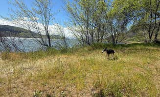 Quincey H.'s photo of a dispersed camping area at Avery Recreation Area near Wishram, WA