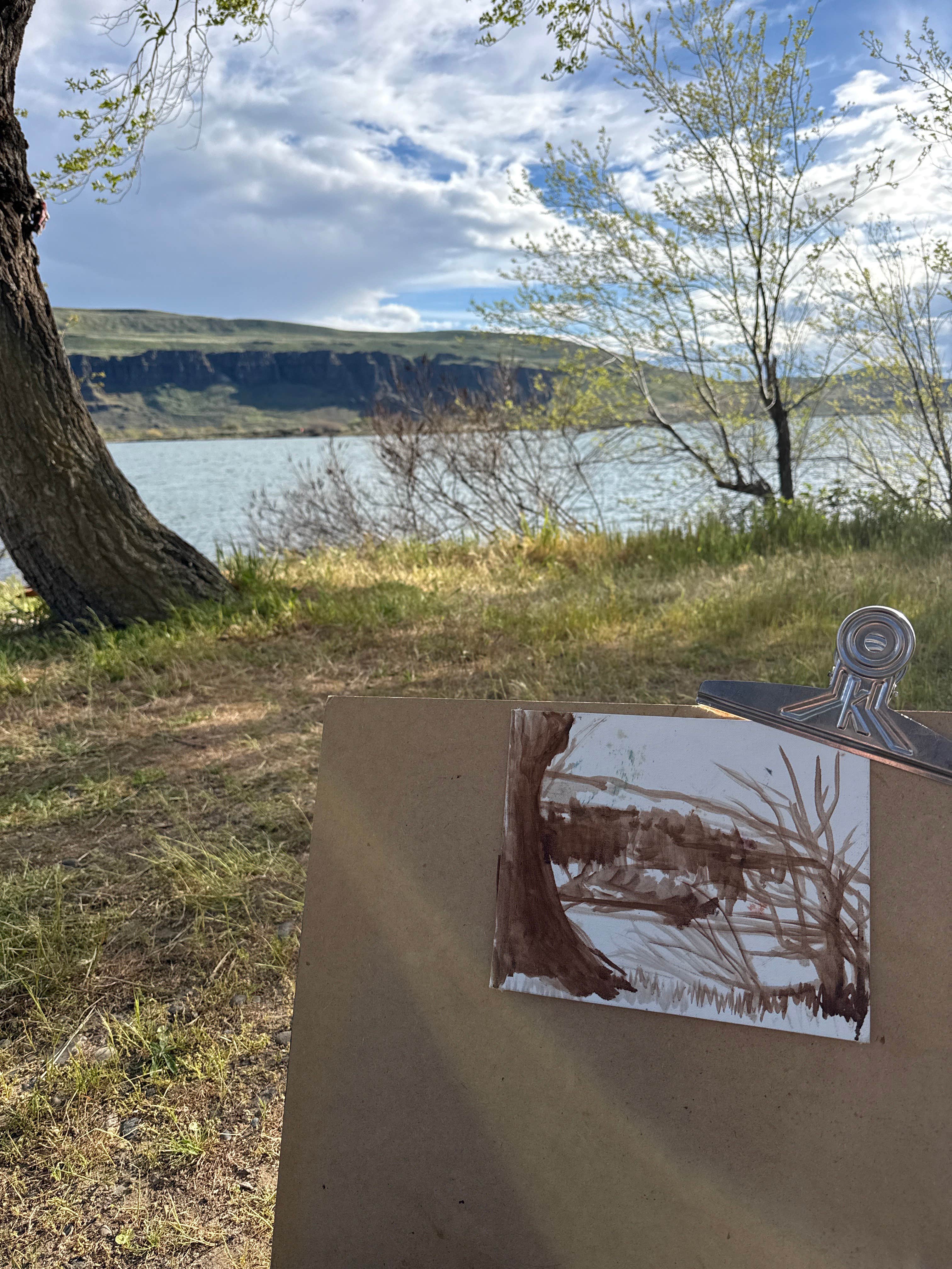 Camper-submitted photo at Avery Recreation Area near Cheatham Lock and Dam