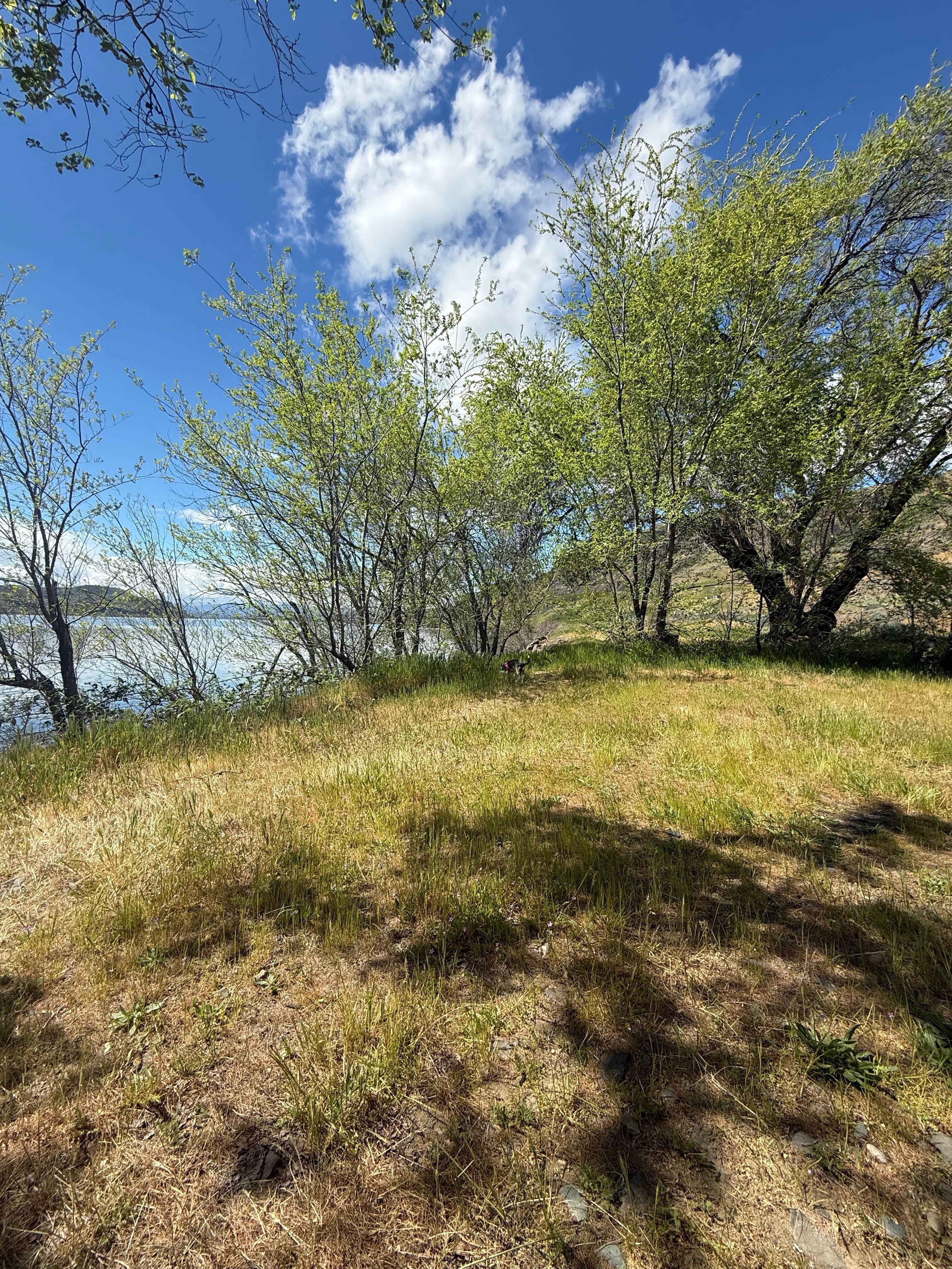 Avery Recreation Area