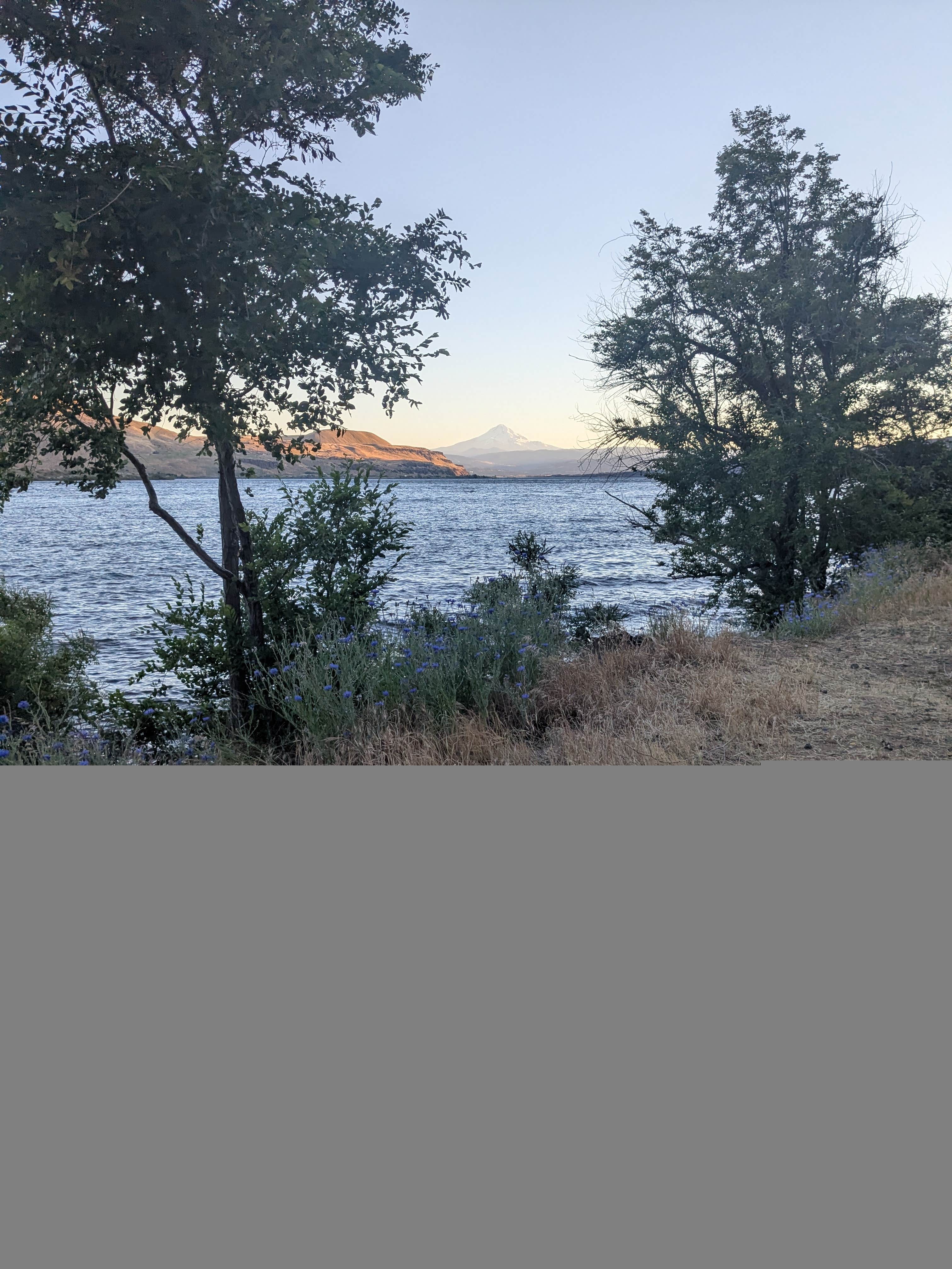 Camper-submitted photo at Avery Recreation Area near Moro, OR