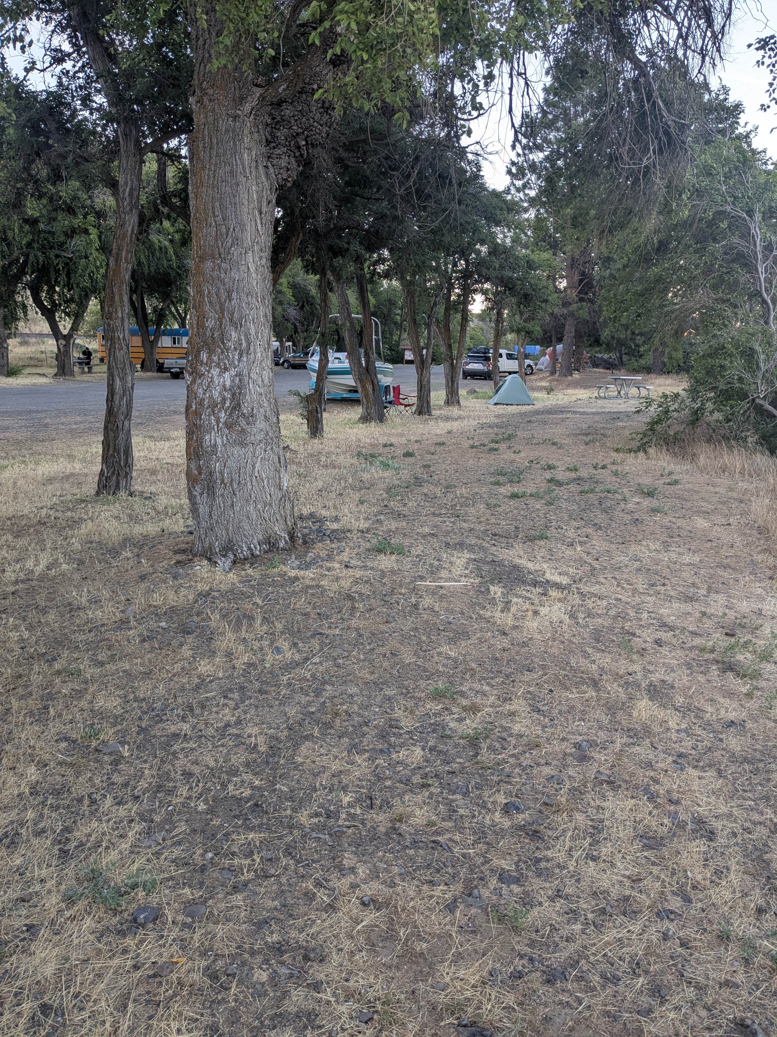 Camper-submitted photo at Avery Recreation Area near Moro, OR