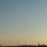 Review photo of Maddock Road Dispersed - AZ State Trust Land by Conner F., January 20, 2025