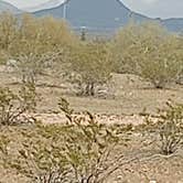 Review photo of Maddock Road Dispersed - AZ State Trust Land by Starseed P., January 22, 2025