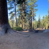 Review photo of Azalea Campground — Kings Canyon National Park by Taylor A., September 7, 2024