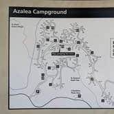 Review photo of Azalea Campground — Kings Canyon National Park by Hans V., September 17, 2026