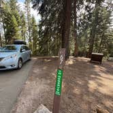Review photo of Azalea Campground — Kings Canyon National Park by Rebecca D., August 1, 2026