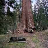 Review photo of Azalea Campground — Kings Canyon National Park by Taylor A., September 7, 2024