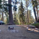 Review photo of Azalea Campground — Kings Canyon National Park by Taylor A., September 7, 2024