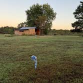 Review photo of B Berry Farms & Co. by Sharon W., October 5, 2025