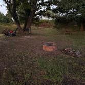 Review photo of B Berry Farms & Co. by Sharon W., October 5, 2025