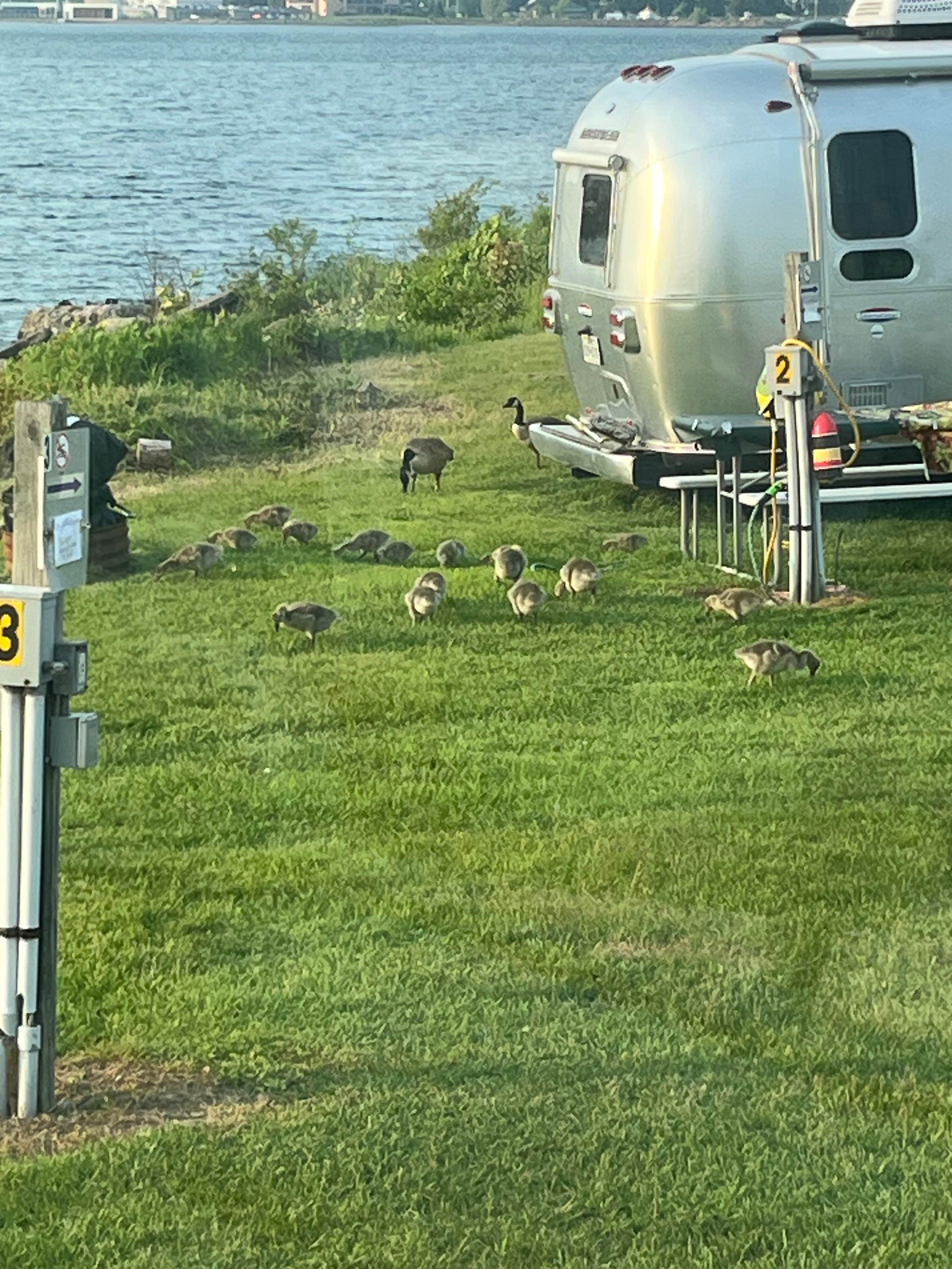 Harold D.'s photo of rv camping at B.P.O.E. Elks Lodge #552 near Sault Ste. Marie, MI