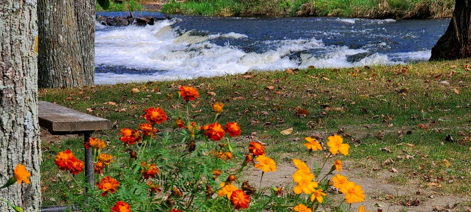 Camper-submitted photo at Babbling Brook RV Park near Massena, NY