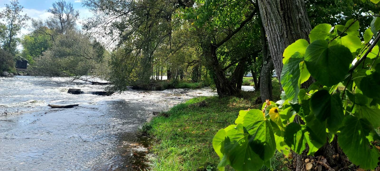 Camper-submitted photo at Babbling Brook RV Park near Massena, NY