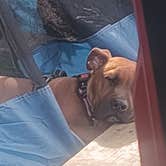 Review photo of Bachelor Runn Campground by Kevin M., June 12, 2026
